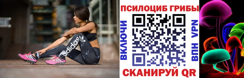 Купить закладки  Борисоглебск  Псилоцибиновые грибы мицелий 